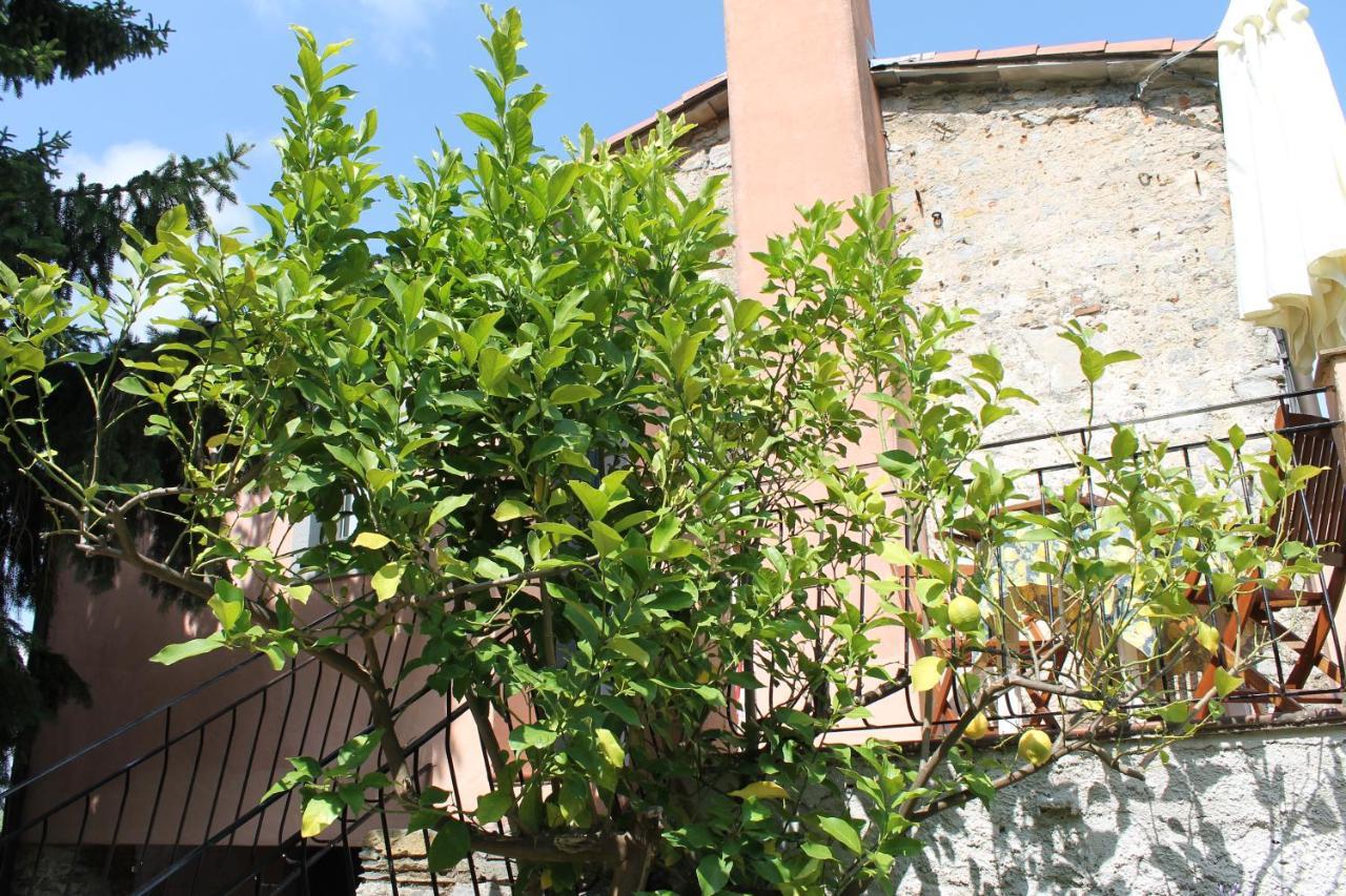 Agriturismo Terrazza Sul Golfo - Il Casale ลาสเปเซีย ภายนอก รูปภาพ
